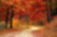 road-gda10e1e28_1920.jpg