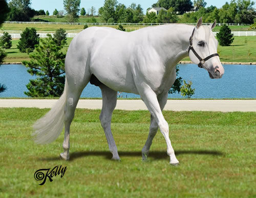 hfc profile jog 2.jpg