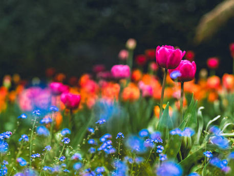 2026年GW休院のお知らせ　5月2日（土）午後～5月6日（水）まで