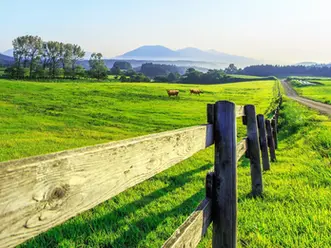 現代の日本はソクラテスを死刑にした時代と何ら変わらないのか?