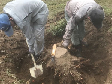 木の株の抜根と枯れ枝・枯草の始末の様子(群馬県伊勢崎市)