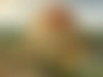バベルの塔 創世記11章1節~