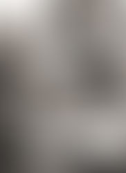 原理講論は聖書の新しい解釈論である-劉孝元元協会長と原理講論