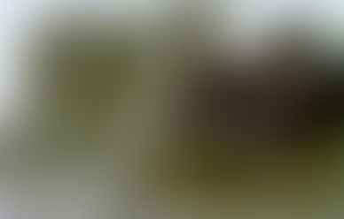 メシアの本質とキリスト教のメシア観 ② 何故文鮮明先生は『無原罪のひとり子・再臨のメシア』と言えるのか