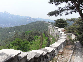 ソウル市長の自殺に思う 死ぬこととは何か!