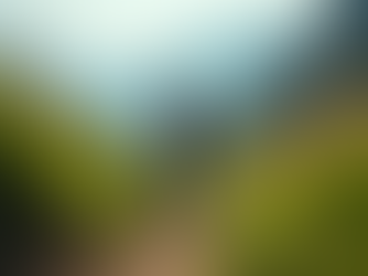 Thrilling Adventures for Over 50 Women: Embrace the Wild Side of Life