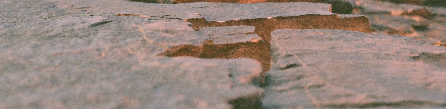 AU PIED DU MUR