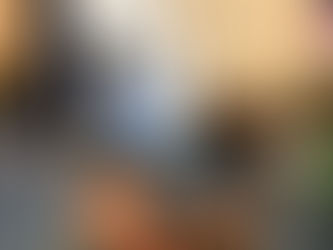 Making Meaning Through Projects