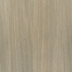 Silk Grey Oak