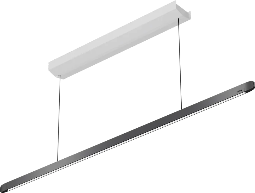 BORA Horizon LHMSW Move Pendant Light in Black