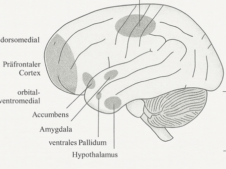 Selbstregulation in der Beziehung: Die Kunst, sich zu beruhigen, bevor man spricht