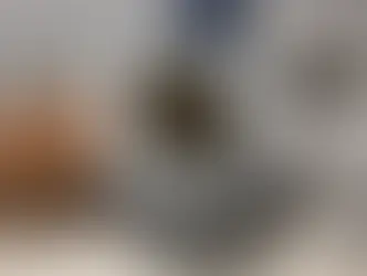 PM APREENDE CERCA DE 14 KG DE MACONHA EM CARUARU DURANTE OPERAÇÃO DO 1º BIESP