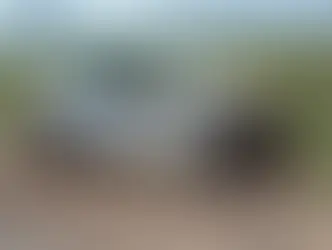 DUAS PESSOAS MORREM EM COLISÃO FRONTAL NA BR-316, EM ARARIPINA