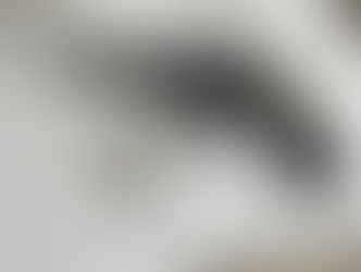 BANDIDO FOI MORTO E OUTRO BALEADO NUMA TROCA DE TIROS COM POLICIAIS DO 1º BIESP EM CARUARU