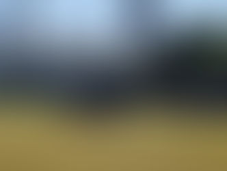 MOTOCICLISTA SOFRE TRAUMATISMO CRANIANO E É TRANSPORTADO DE HELICÓPTERO EM PALMARES