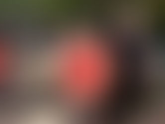 ELEMENTO QUE TENTOU MATAR A ESPOSA E FOI ESFAQUEADO PELO CUNHADO EM BEZERROS SERÁ APRERSENTADO NA AUDIÊNCIA DE CUSTÓDIA