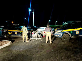 PRF APREENDE 800KG DE EXPLOSIVOS TRANSPORTADOS IRREGULARMENTE NA BAHIA