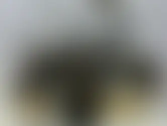 POLÍCIA MILITAR APREENDE MAIS DE 9 KG DE DROGAS E PRENDE SUSPEITO EM CARUARU