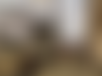 PRÉDIO DE TRÊS ANDARES DESMORONA EM CARUARU APÓS SER ATINGIDO POR INCÊNDIO