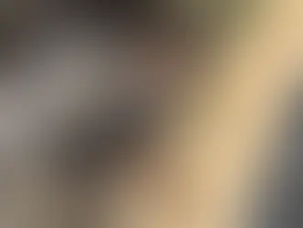 CORPO DE HOMEM É ENCONTRADO PARCIALMENTE CARBONIZADO EM SÃO JOÃO, NO AGRESTE