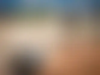 PRF REALIZA OPERAÇÃO DE COMBATE A CRIMES AMBIENTAIS EM PERNAMBUCO