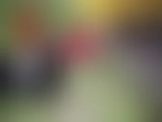 EX-PRESIDIÁRIO É ASSASSINADO NO CENTRO DE PANELAS