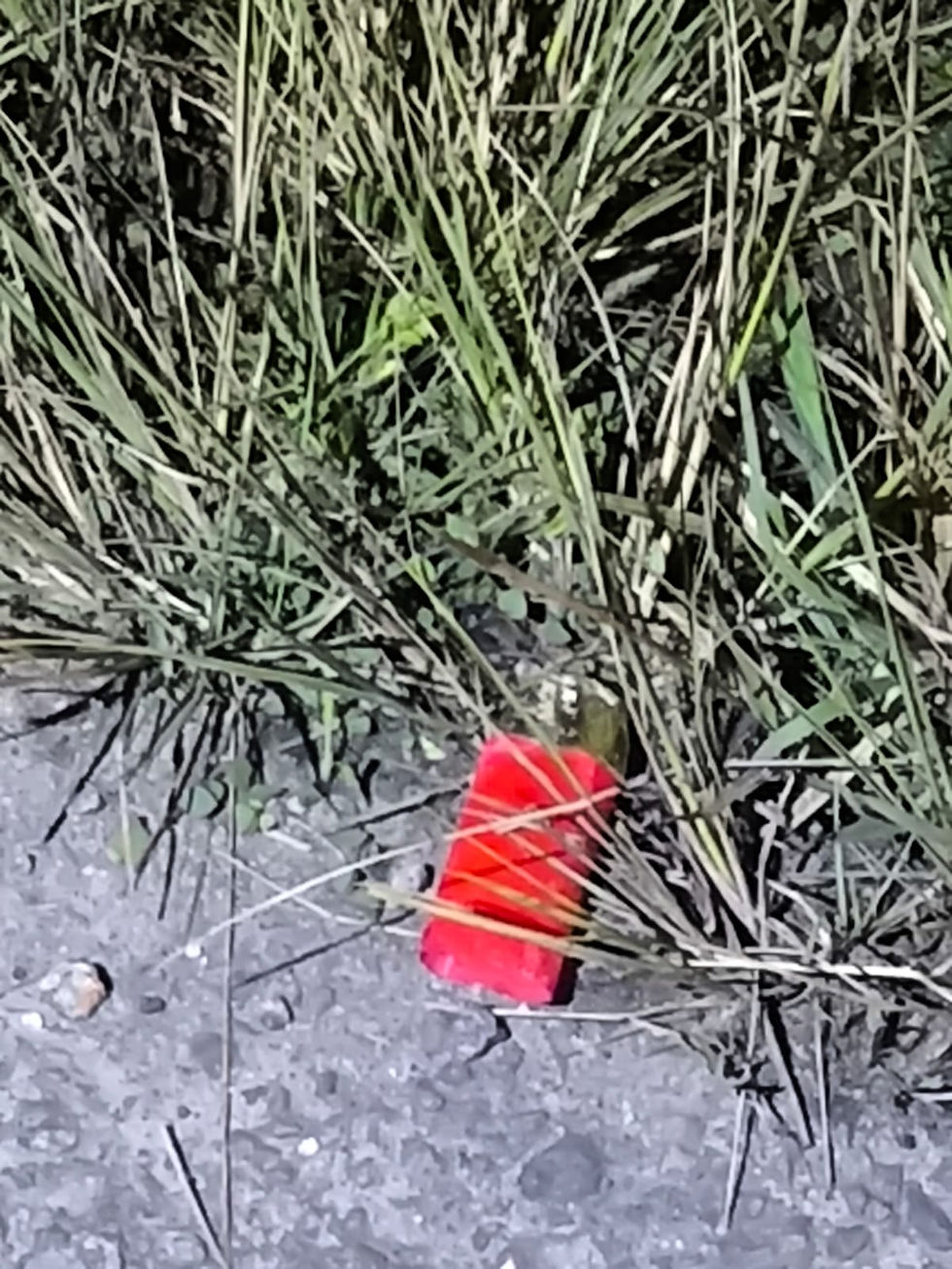 ree