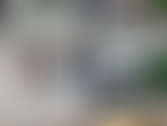 ELEMENTO FOI PRESO PELA EQUIPE DA DELEGACIA DA MULHER DE CARUARU POR QUEBRA DE MEDIDA PROTETIVA