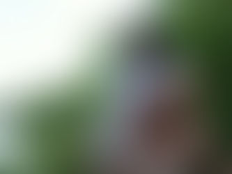 Salutation au soleil version simplifiée