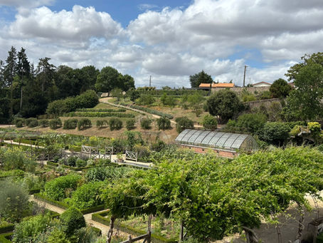 Une belle visite au Potager du Château Colbert