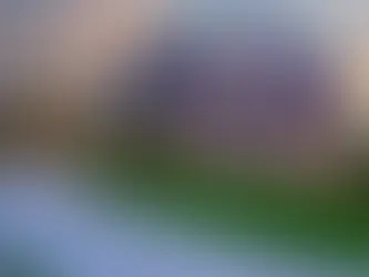 Are Property Surveys Really “Optional” in Florida? What Buyers and Agents Need to Know About Form 9