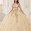 Miniatura: 15724