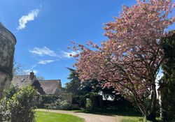 Visite du Prieuré en fleurs