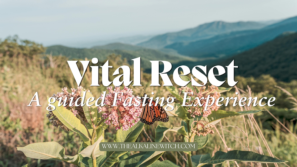 Vital Reset Retreat June