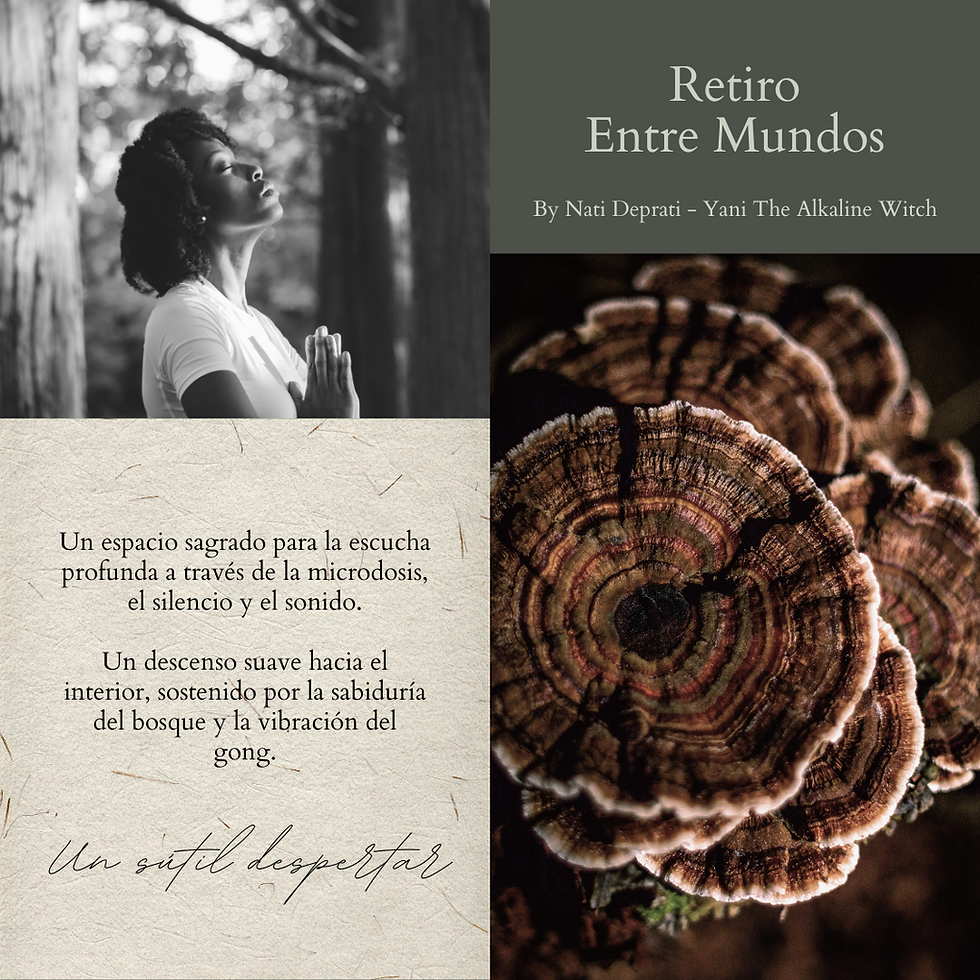 Entre Mundos - Retreat