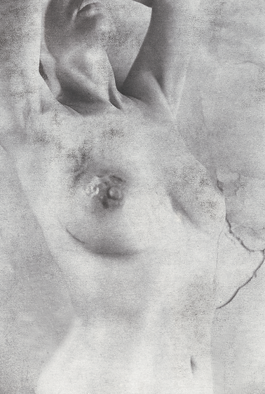 Grey Torso (1991/1995)