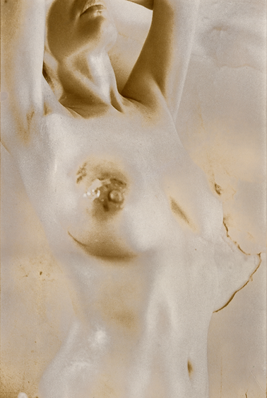 Porcelain Torso (1991/1995)