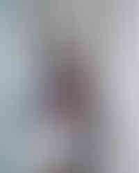 220712-13982.jpg