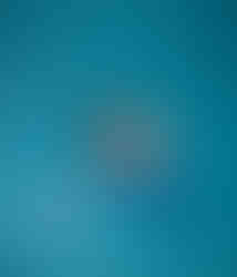 IRENE_ALIGN_230106-0448 copy.jpg