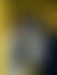 P250710_0707-2 logo.jpg