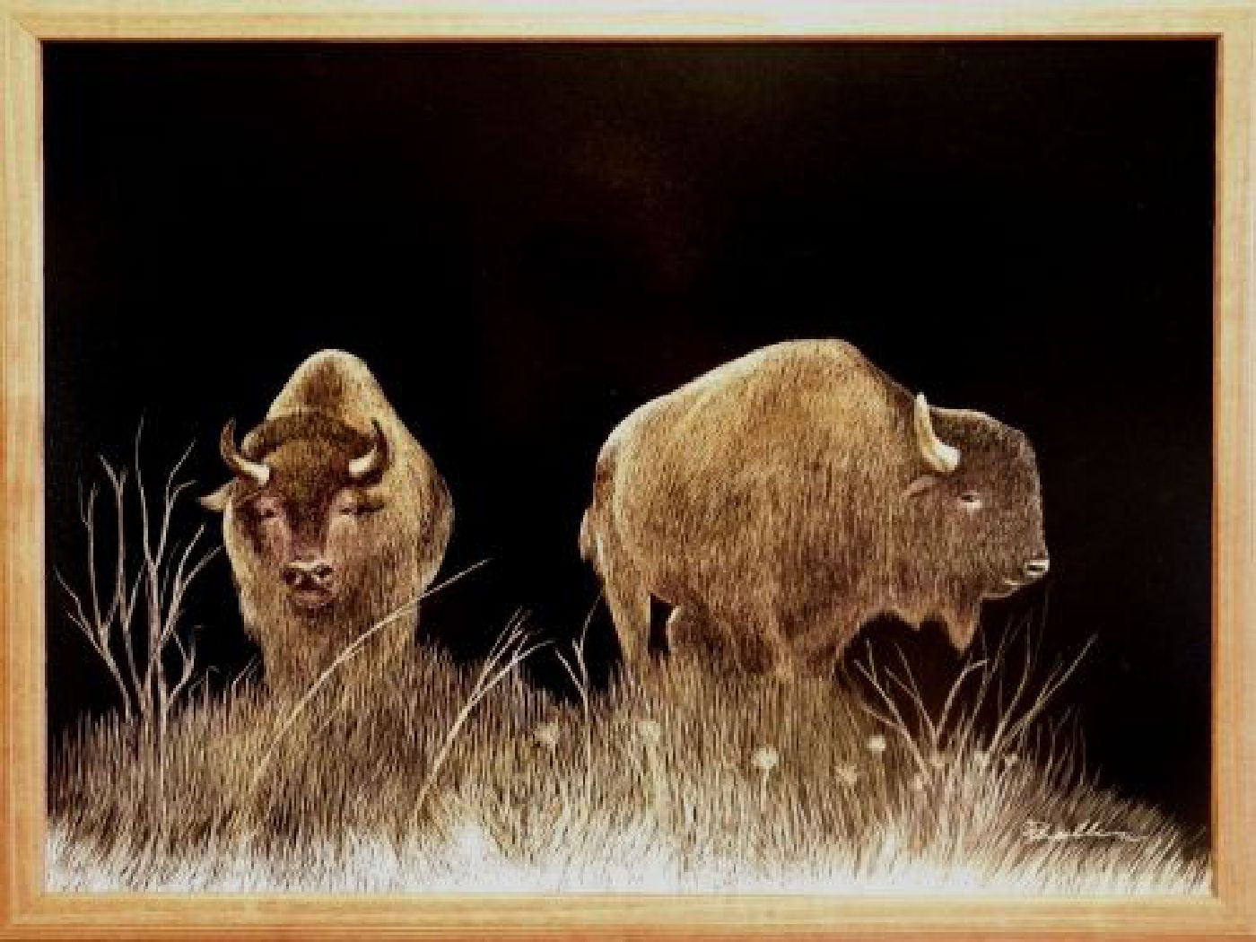 BISON PAIR (SCRATCH BOARD ORIGINAL)