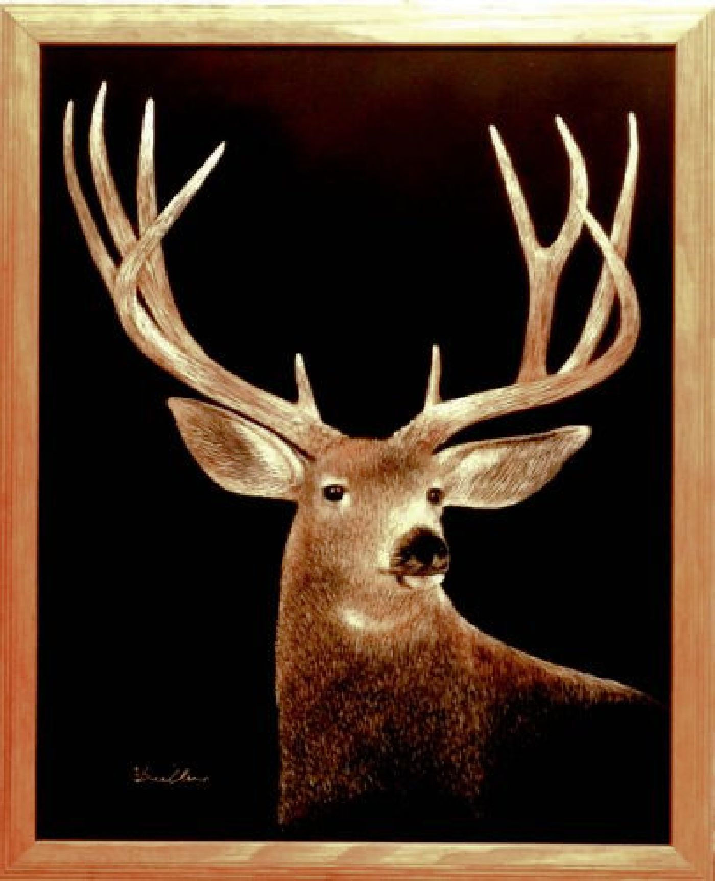 MULEY BUCK SCRATCH BOARD ORIGINAL)
