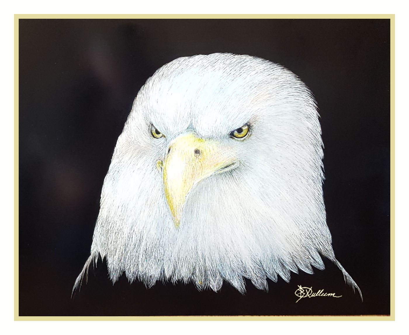 BALD EAGLE (LTD PRINT OF/ 5