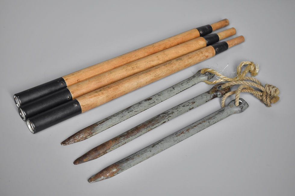 M31 Zeltbahn tent pegs 'RS 40' + poles