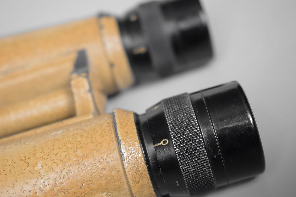 Thumbnail: Hensoldt 10x50 Panzer binoculars 'bmj'