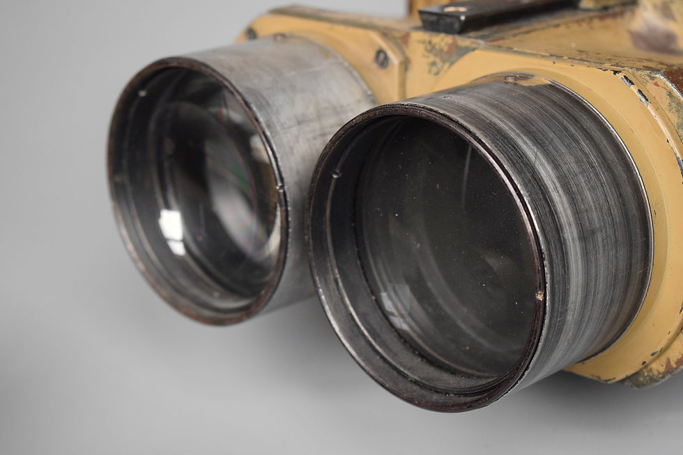 Thumbnail: D.F. 10x80 Flakfernrohr binoculars 'beh'