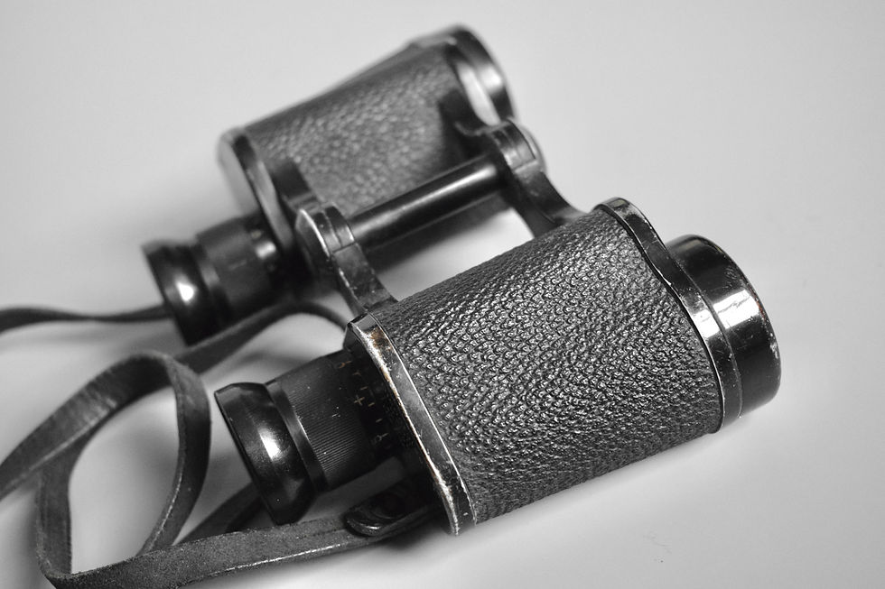 Thumbnail: 6x30 Dienstglas binoculars 'bmj'