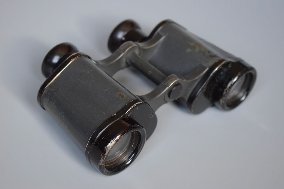 Thumbnail: Late-war 6x30 Dienstglas 'rln' binoculars