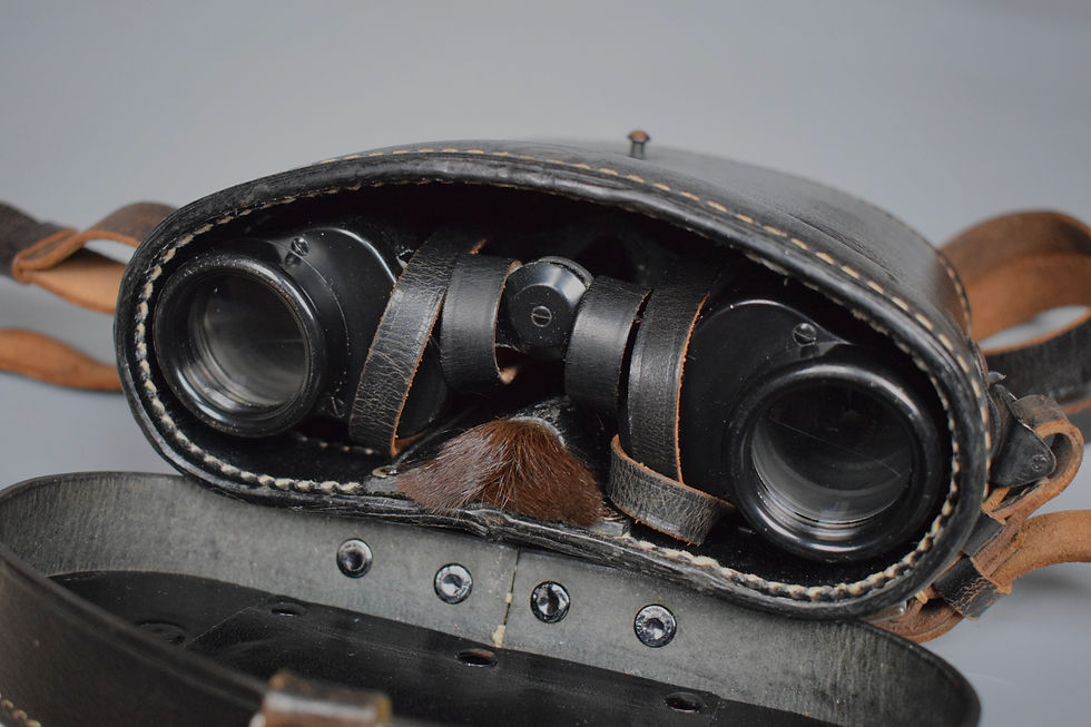Thumbnail: E. Leitz 'Bidox' 6x30 binoculars + complete accessories set
