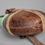 Thumbnail: Coconut canteen w/ green resin cup